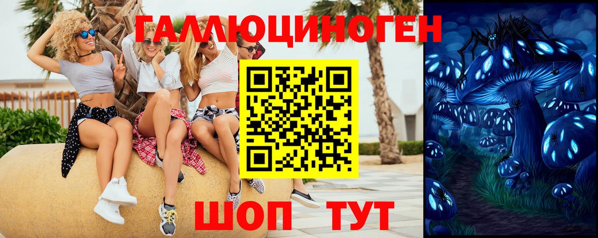 хочу   Вход с VPN  Богданович  Галлюциногенные грибы MAGIC MUSHROOMS  Галлюциногенные грибы мицелий 